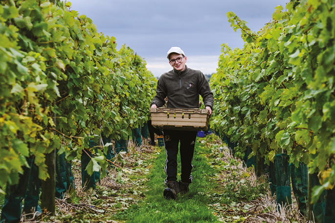 Yorkshire winery hotsell